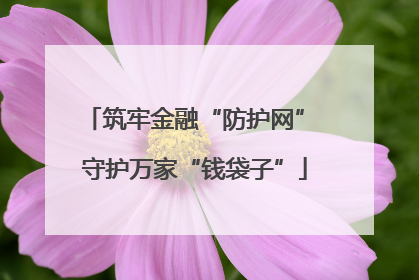 筑牢金融“防护网” 守护万家“钱袋子”